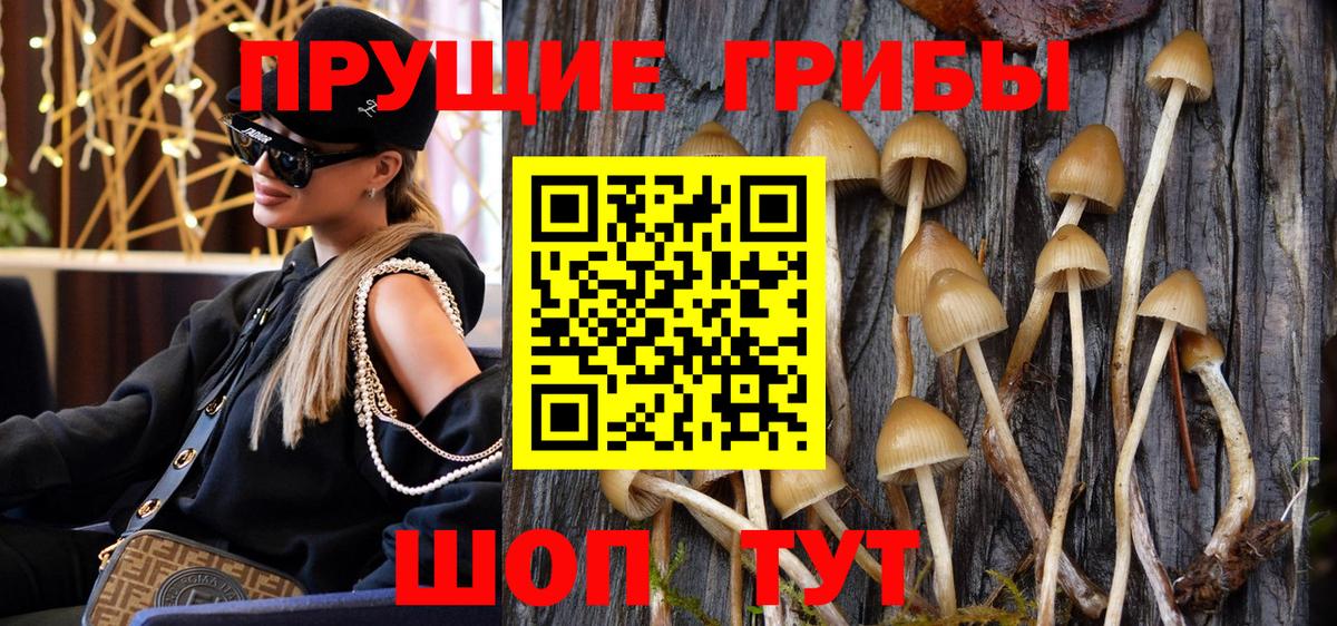 Псилоцибиновые грибы Psilocybine cubensis Реж