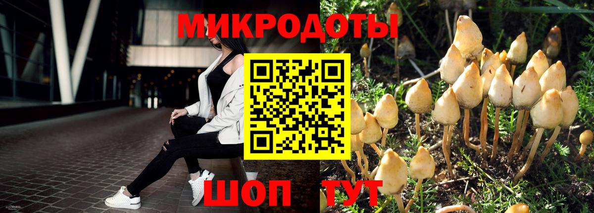 Псилоцибиновые грибы мухоморы  Вход с VPN  Реж 